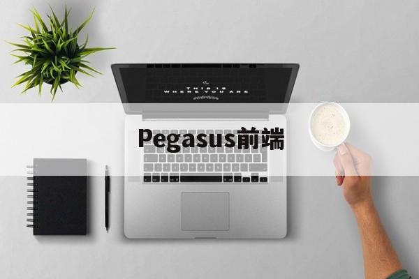 pg-ria 前端Pegasus前端